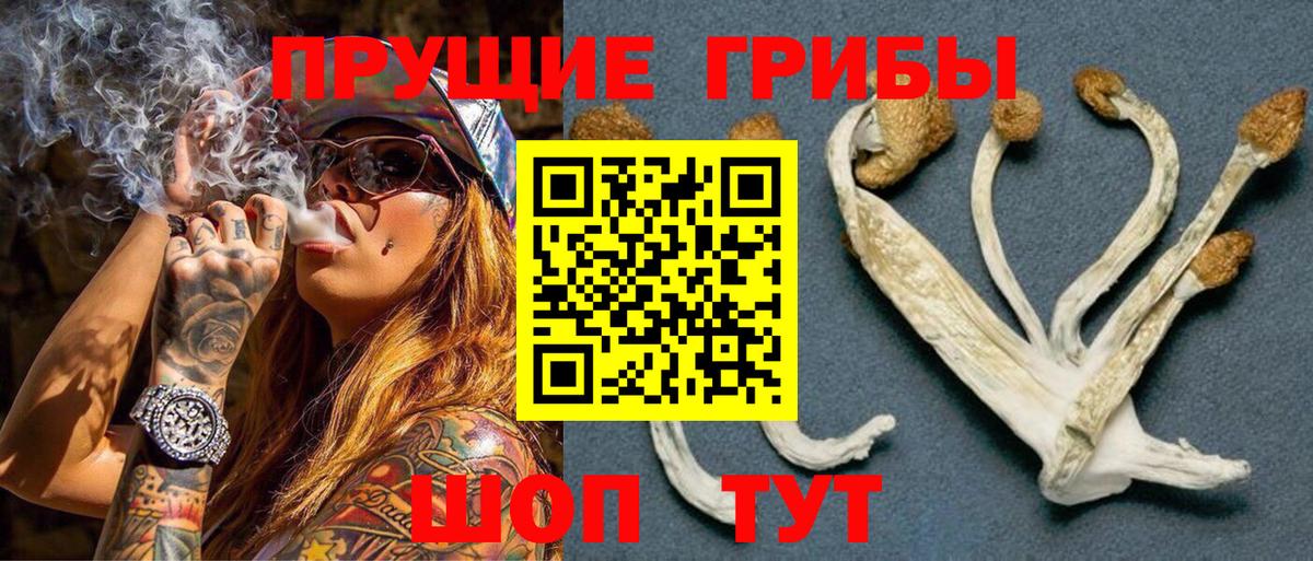 Псилоцибиновые грибы прущие грибы Южно-Сахалинск