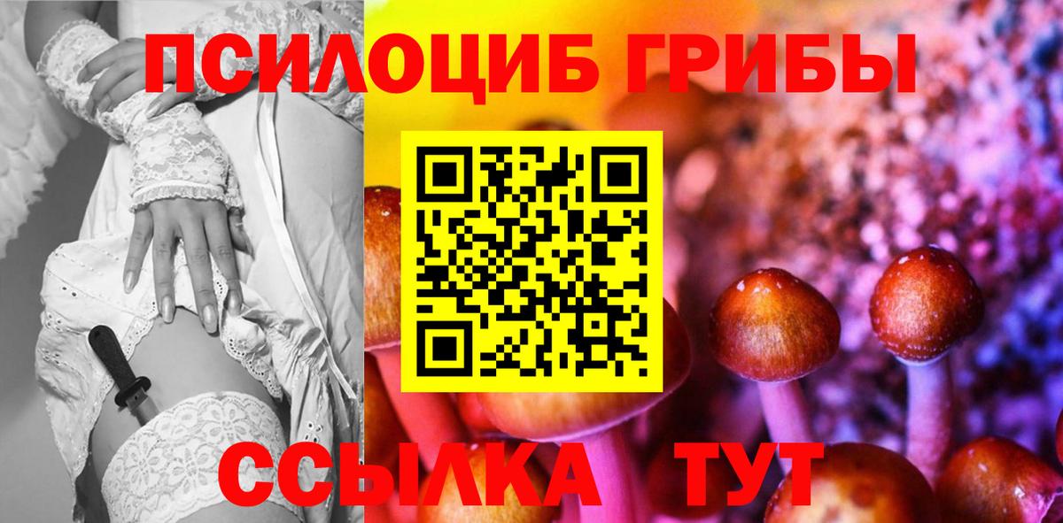 Южно-Сахалинск  магазин продажи   Вход с VPN  Галлюциногенные грибы Psilocybine cubensis 